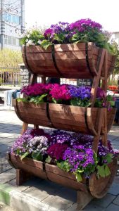 IMG-20200219-WA0042 (1) copy