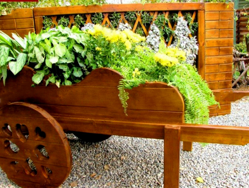 IMG-20200219-WA0059 copy