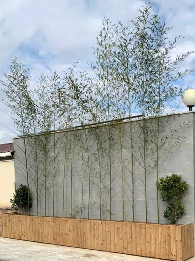 IMG-20220430-WA0132 copy