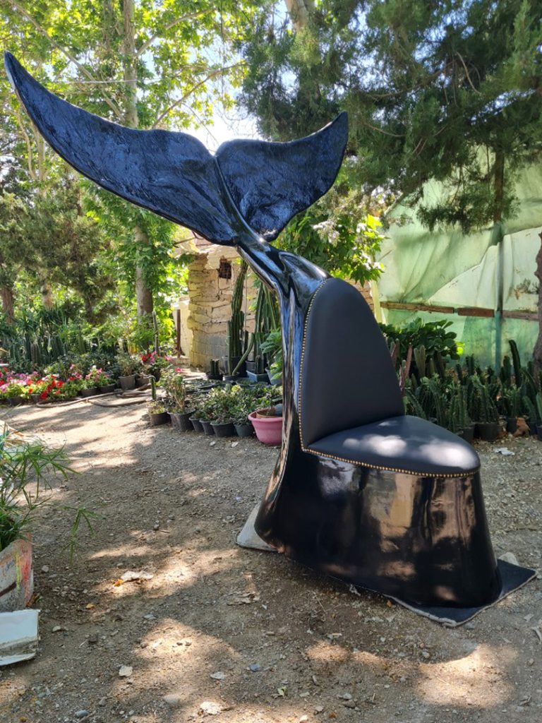 IMG-20220902-WA0201 copy