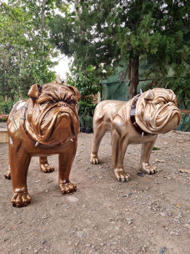 IMG-20220902-WA0206 copy