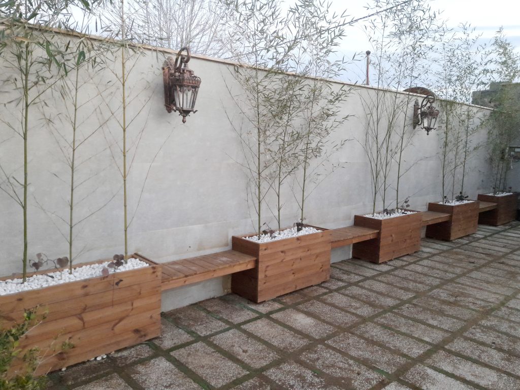 ۲۰۲۲۰۱۰۳_۱۷۱۲۲۷ copy