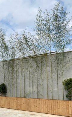 IMG-20220430-WA0132 copy